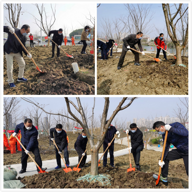 領導植樹拼圖PS.jpg 領導植樹拼圖PS.jpg